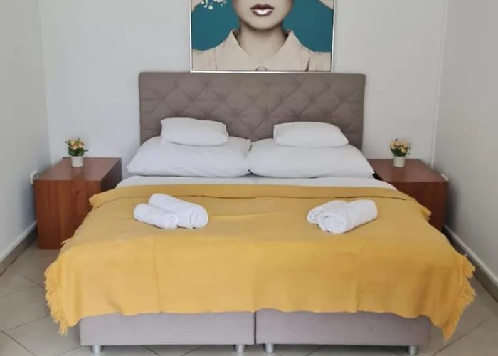 Tulipan Szeged