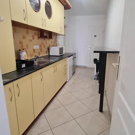 公寓 Tulipan 塞格德